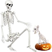 5.9FT Posable Human Skeleton with Cat for Halloween Party Decor