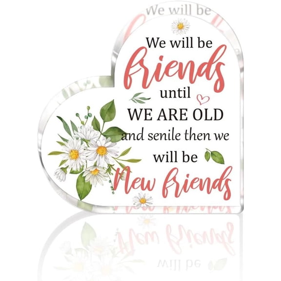 5.9in Friendship Gift for DIY Friends Acrylic Heart Plaques Friend Gifts for DIY Girls Women Christmas Birthday We Will Be Friends Quote Flower Acrylic Decor Keepsake Bestie female Friend Gifts