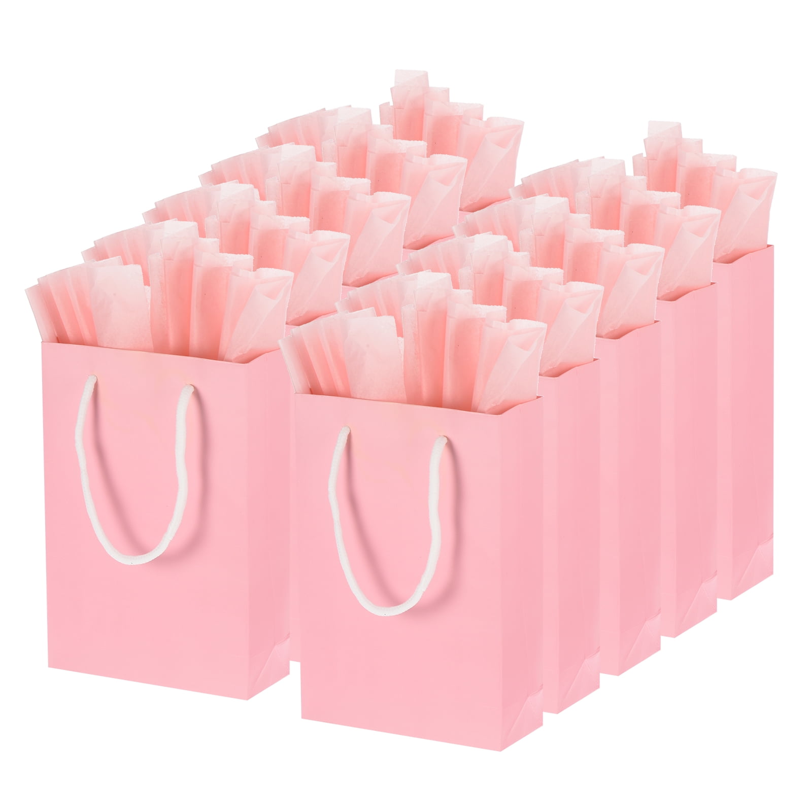 5.9x2.3x8.6" Favor Gift Bags Goodie Tote with Pink Tissue Paper, Pink 12 Set