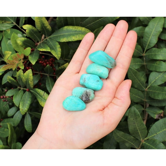 5 A Grade Amazonite Tumbled Stones (Crystal Healing Gemstone Tumble)