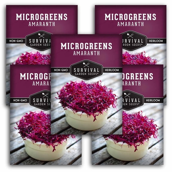 Amaranth Microgreens Sprouting Seeds - Partial Sun Vegetable - 5 Packs