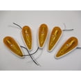 thumbnail image 1 of (5) Amber Incandescent Cab Roof RV Truck Camper Trailer Clearance Marker Lights, 1 of 4