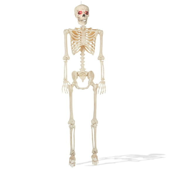 5' Animated Full Size Halloween Skeleton with Lightup Eyes and Speaker