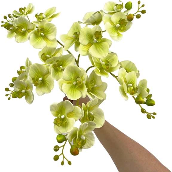 5 Artificial Orchid Flower Stems 18 Inches Real Touch Faux Phalaenopsis Stems Fake Orchid Flowers Arrange for Wedding Bridal Bouquets Home Office Indoor Decorations (Green)