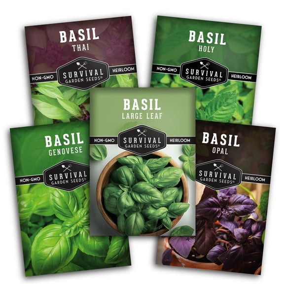 Basil Herb Seeds 5 Variety Pack - Full Sun, Annual