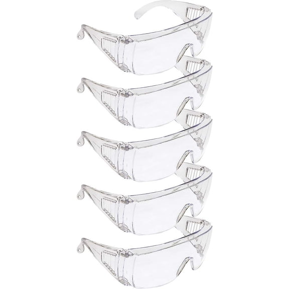 Birdz Eyewear Anti Fog Safety Over The Glasses Shatterproof Scratch Resistant Splash Eye Protection Lab Nurses Men & Women