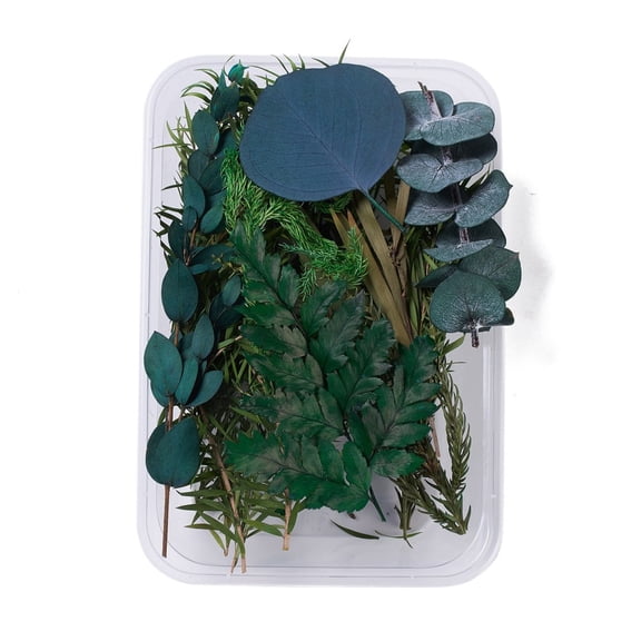 5 Box Dried Flowers DIY Candle Soap Making Accessories with Plastic Rectangle Box Dark Green 10.5~17x1.2~7.9cm