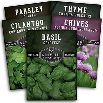 5 Culinary Herb Packs - Curly Parsley, Cilantro, Basil, Chives, Thyme - Heirloom Full Sun Annual