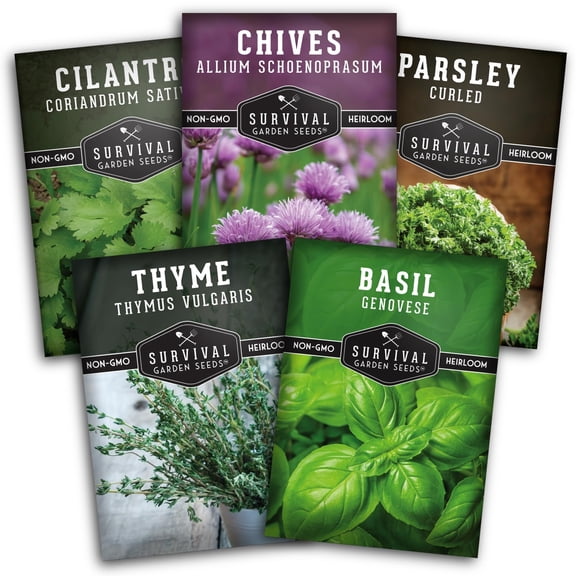 Culinary Herb Seeds 5 Pack - Parsley, Cilantro, Basil, Chives, Thyme - Full Sun Annual