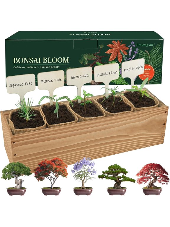 5 DIY Bonsai Tree Kit for Beginners, Complete Indoor Gardening Starter Kit with Seeds, Soils, Pots & Tools, Unique Birthday Gifts Ideas for Women, Men