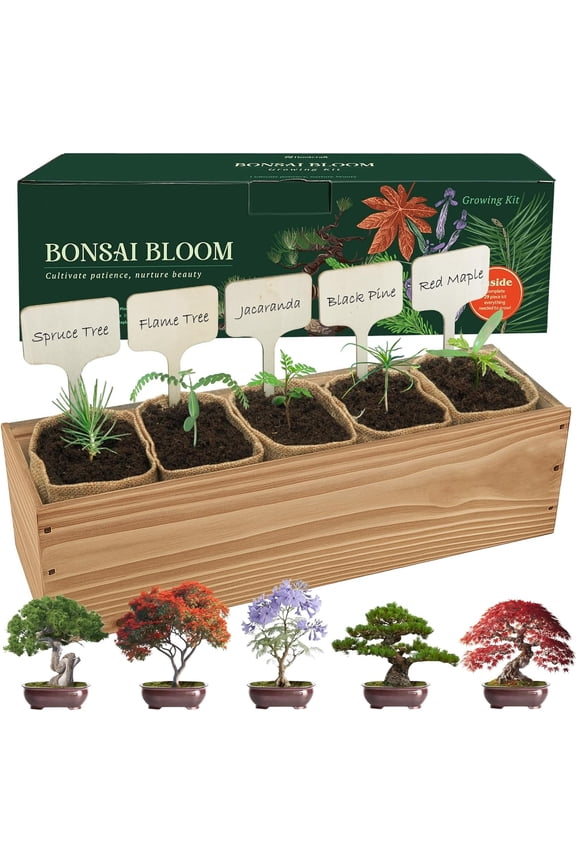 5 DIY Bonsai Tree Kit for Beginners, Complete Indoor Gardening Starter Kit with Seeds, Soils, Pots & Tools, Unique Birthday Gifts Ideas for Women, Men