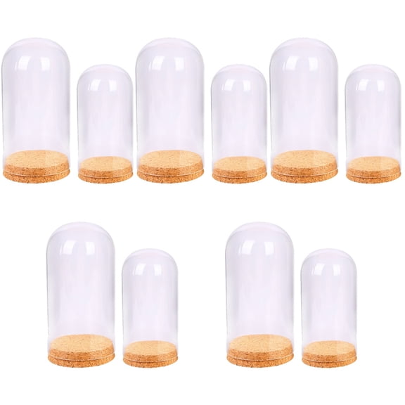 5 Decoration Preserved Flower Glass Cover Base Wood Dome