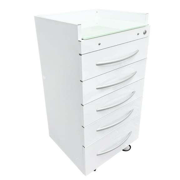 5 Drawers Dental Assistant Mobile Cabinet Office File Storage Cart Lockable Moving Side Cabinet with Lock and 2 Pallets White