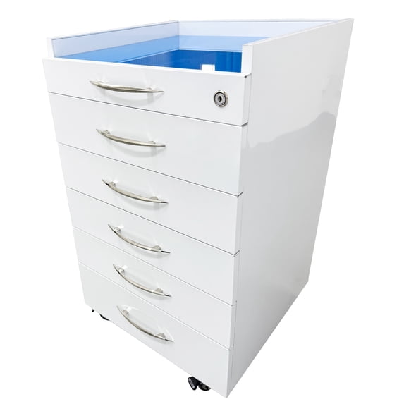 5 Drawers Dental Assistant's Mobile File Cabinet Mobile Storage Cabinet Stainless Steel Utility Cart with 2 Storage Trays