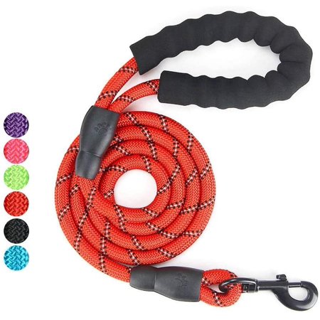 5 FT Beautifully Dog Leash with Comfortable Padded Handle and Highly Reflective Threads Dog Leashes for Medium and Large Dogs
