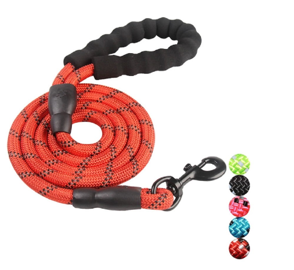 5-Feet Strong Nylon Dog Leash – Padded Handle & Reflective Threads for ...