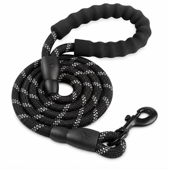 5 ft Nylon Dog Leash with Padded Handle, Reflective Thread Leash for Medium and Large Dogs, TIKA