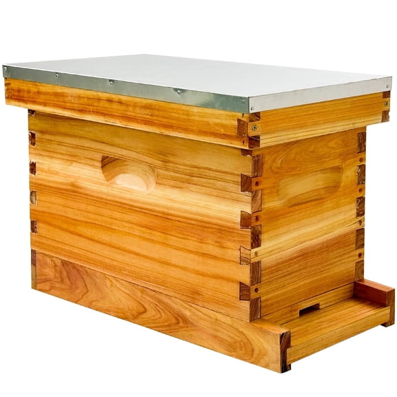 5 Frame Bee NUC Box Kit Beeswax Coated Includes Bee Hive Frames and Foundations (Unassembled)