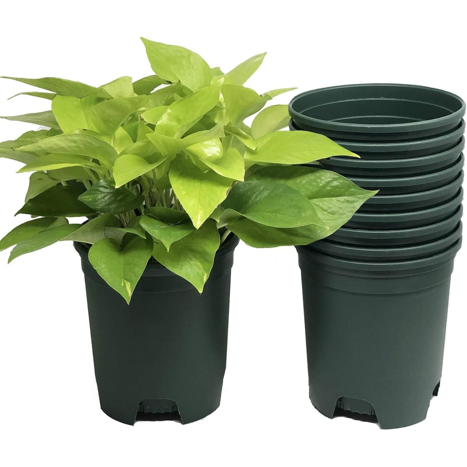 5 Gallon 6Pack Large Plant Pots Nursery Tree Pot Plastic Planters for