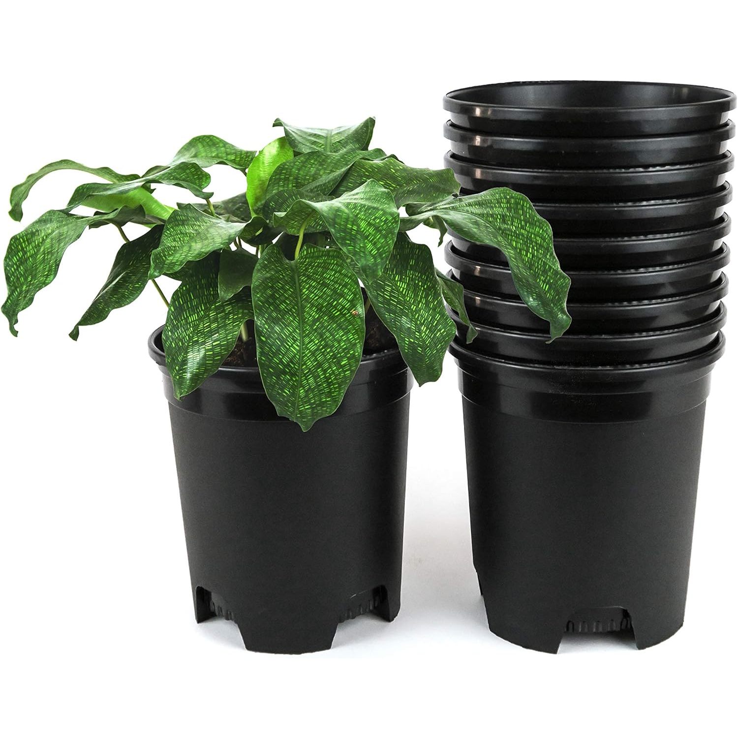 5 Gallon 6Pack Large Plant Pots Nursery Tree Pot Plastic Planters for