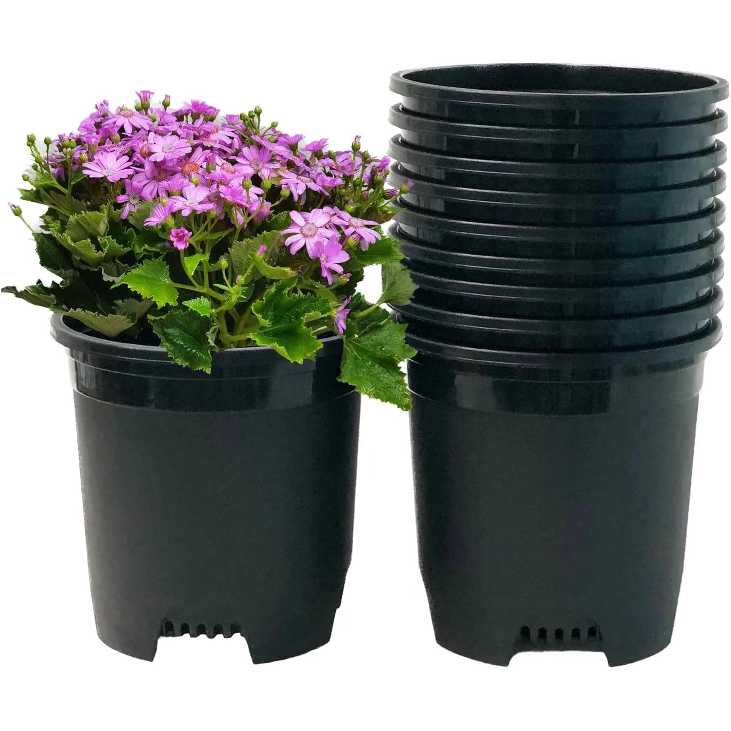 5 Gallon 6Pack Large Plant Pots Nursery Tree Pot Plastic Planters for