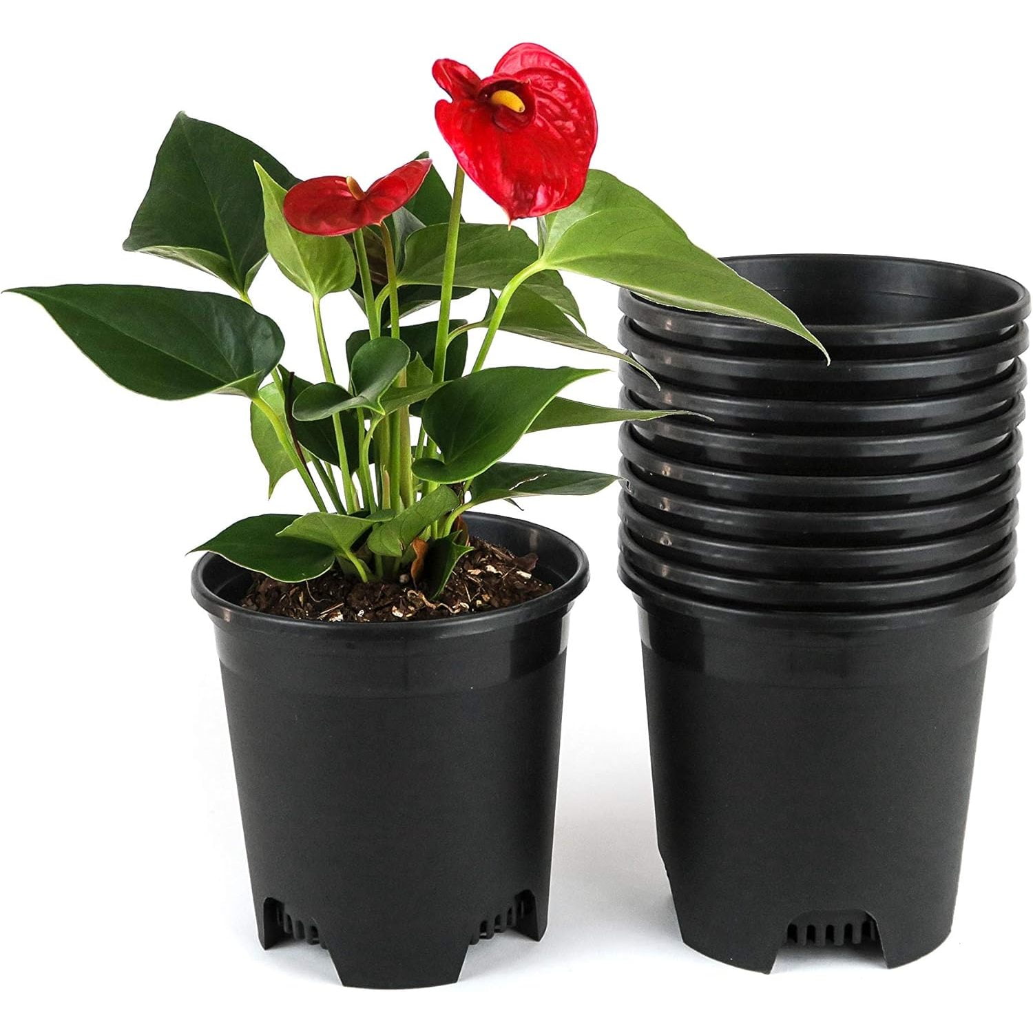 5 Gallon 6Pack Large Plant Pots Nursery Tree Pot Plastic Planters for