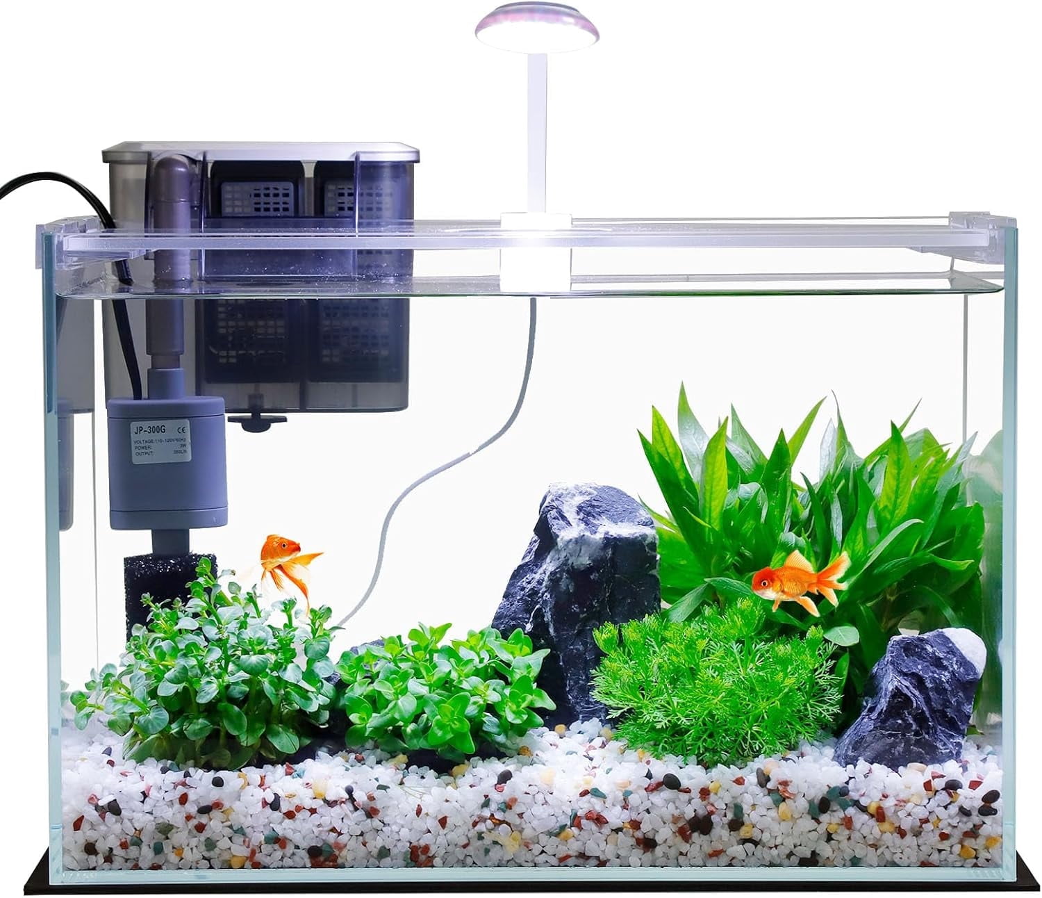 3 Gallon Glass Fish Tank with Filter Light and Lid, Aquarium Starter Kit