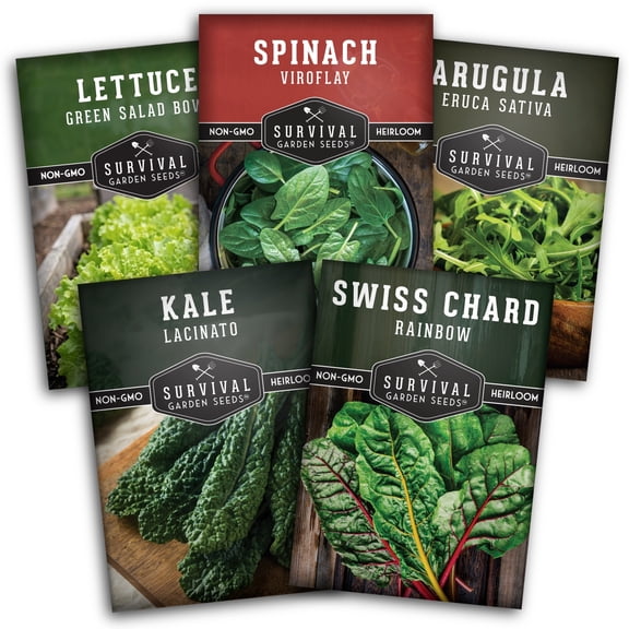 5 Greens Collection - Spinach, Arugula, Kale, Lettuce & Swiss Chard - Full Sun Annual Vegetable Seeds