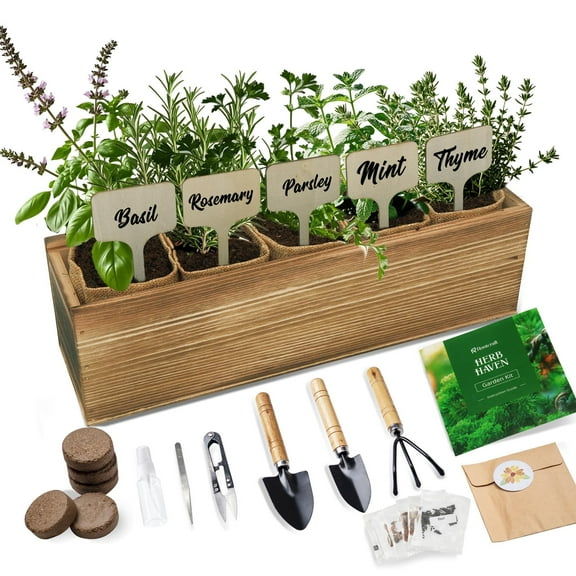 5 Herb Garden Planter Indoor with MVR1Wooden Box, Kitchen Seed Starter Kit Including Basil, Thyme, Parsley, Rosemary, Mint, Birthday, Mothers Day, House Warming, Gardening Gifts for Women, Mom