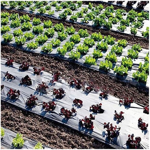 5 Holes Black Plastic Mulch Film Hole Space 15cm, Hi-Quality Vegetable Garden Plants Grow Films Protection Cover Greenhouse Perforated PE Mulch Film (Size : 30 Meters)