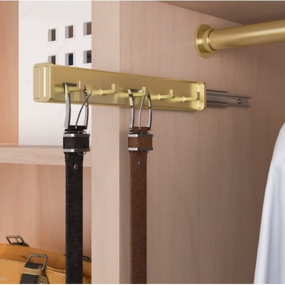 Richelieu 5-Hook Designer Pullout Closet Belt Rack - Reversible Wardrobe Organizer