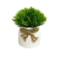 thumbnail image 1 of 5-Inch Artificial Potted Plants Small Fake Succulent Plant with Pot Green Decor for Shelf Desk Table Home Office(5.12*3.15in,#E), 1 of 7