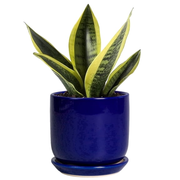 Ordivic 5 inch Round Blue Ceramic Planter with Drainage Hole & Saucer, Small Flower Pot for Succulents Cacti Mini Bonsai Indoor Home Office Decor