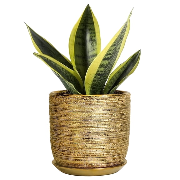 Ordivic 5 inch Round Gold Ceramic Planter with Drainage Hole & Saucer, Small Flower Pot for Spider Plants, Baby Pothos, Glam Desktop & Apartment Shelf Decor