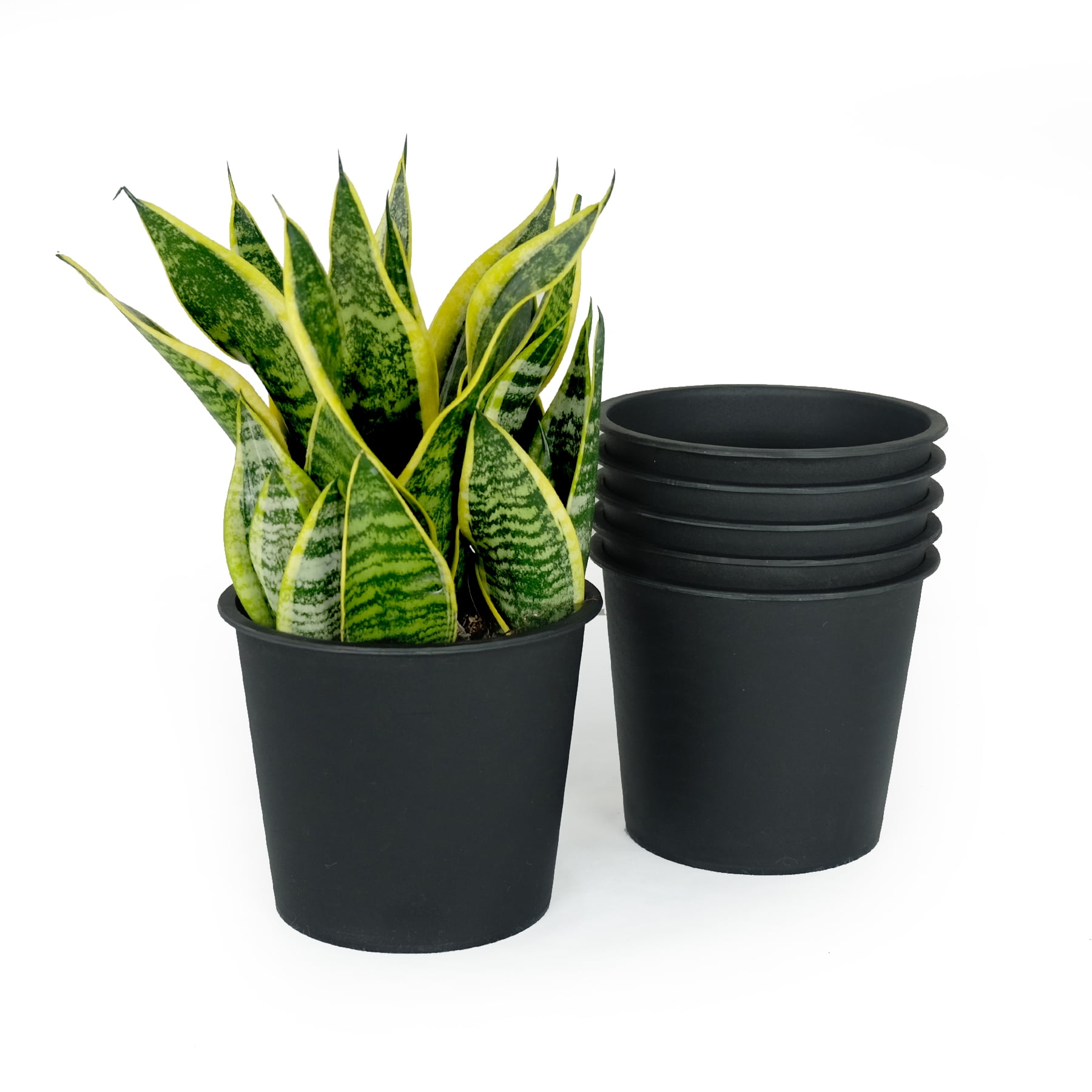 5 Inch Round Nursery Plant Pot 5-Pack Garden Plastic Pots with Drainage Hole All-Weather Durable Crack Proof Fade Resistant for Indoor Outdoor Plants