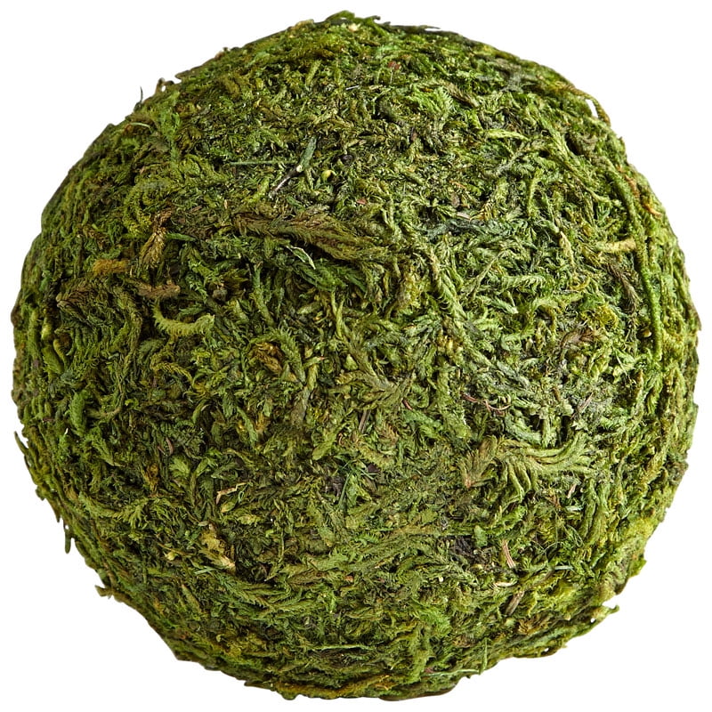 Contemporary Green Moss Sphere 5" Decorative Orb