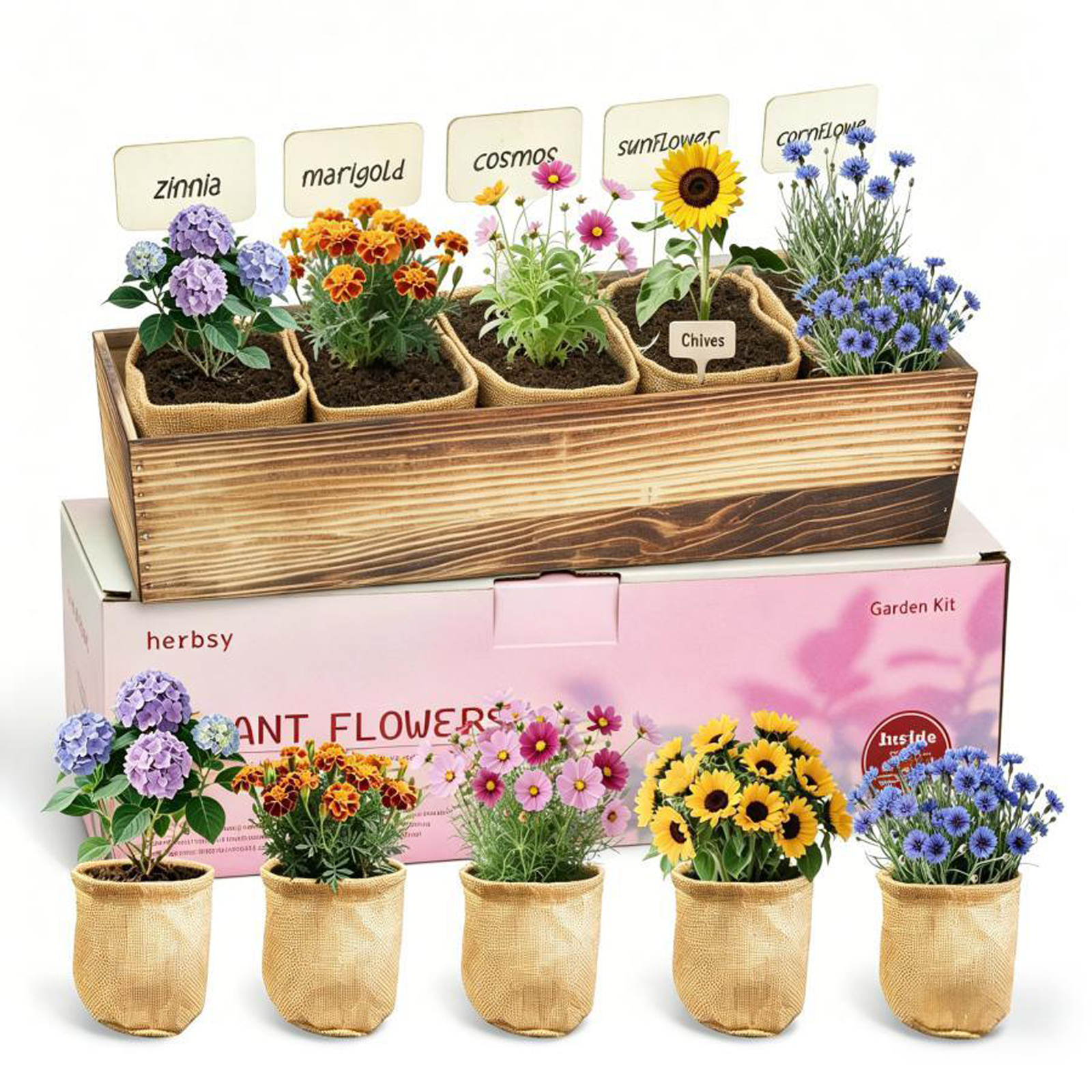 5 Indoor Flower Growing Kits – Complete Planting Starter Set with Sunflower, Zinnia, Marigold, Cosmos, and Cornflower Seeds. A Unique Birthday or Christmas Gift for Women, Men, and Plant Lovers