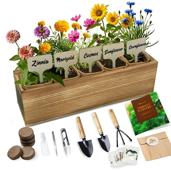 5 Indoor Flowers Growing Kit for MVR1Beginners, Complete Planting Starter Set with Zinnia, Cosmos, Sunflower, Marigold, Cornflower Seeds, Unique Gardening Gifts for Women & Men