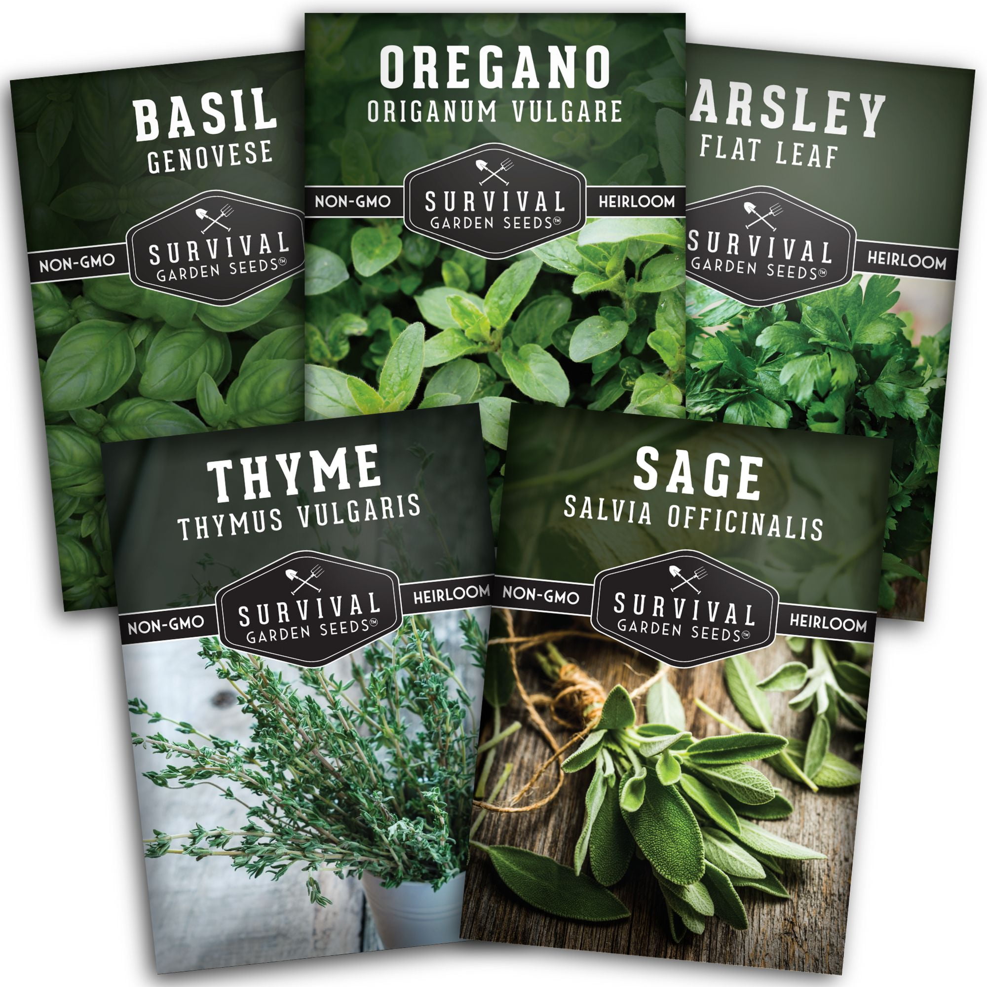 Italian Herb Seed Collection - Basil, Oregano, Thyme, Sage, Parsley