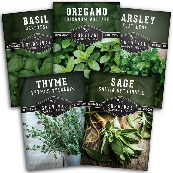 5 Italian Herb Seeds - Basil, Oregano, Thyme, Sage, Parsley - Heirloom Full Sun Perennials & More