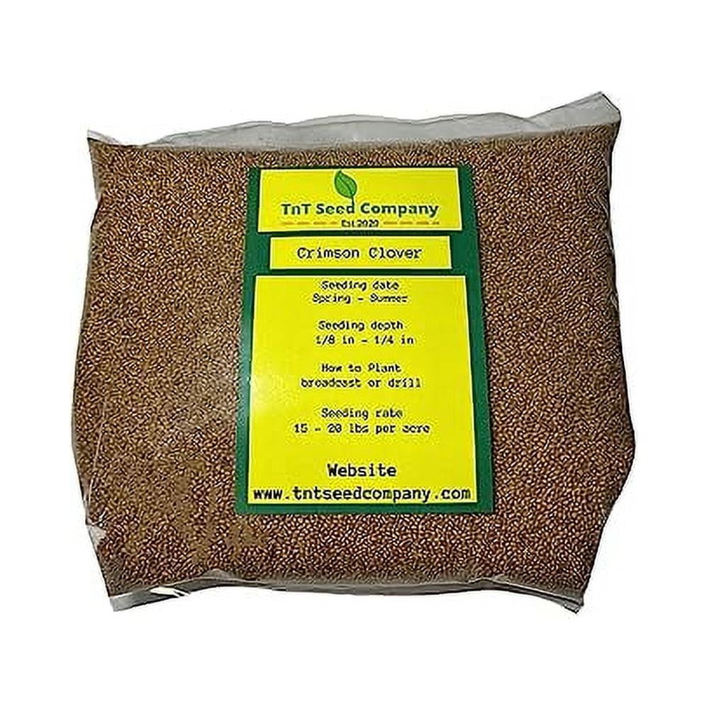 5 LB Crimson Clover Seed Excellent for Food Plots, Cover Crop, and
