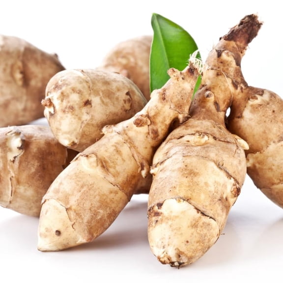 5 Large Jerusalem Artichokes Tubers for Planting, Fresh Sunchokes Sunroots, Hardy Edible Perennial Roots for Outdoor Vegetable Garden