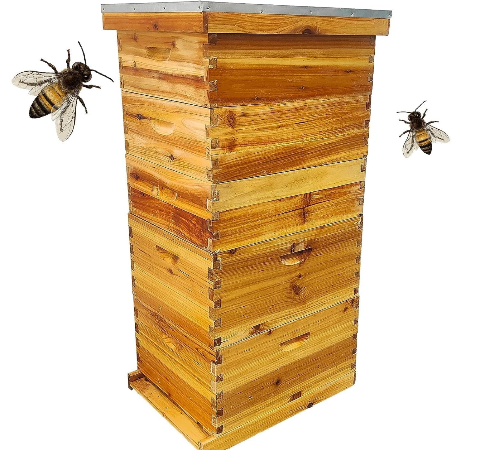 CO-Z Starter Kit: 30-Frame Beehive with 20 Deep & 10 Medium