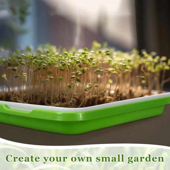 5-Layer Seed Sprout Tray Shelf with 10 Trays and 60 Germination Papers for Microgreens Wheatgrass Growing Kit