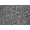 thumbnail image 1 of 5 Lb Black Sand, 1 of 1