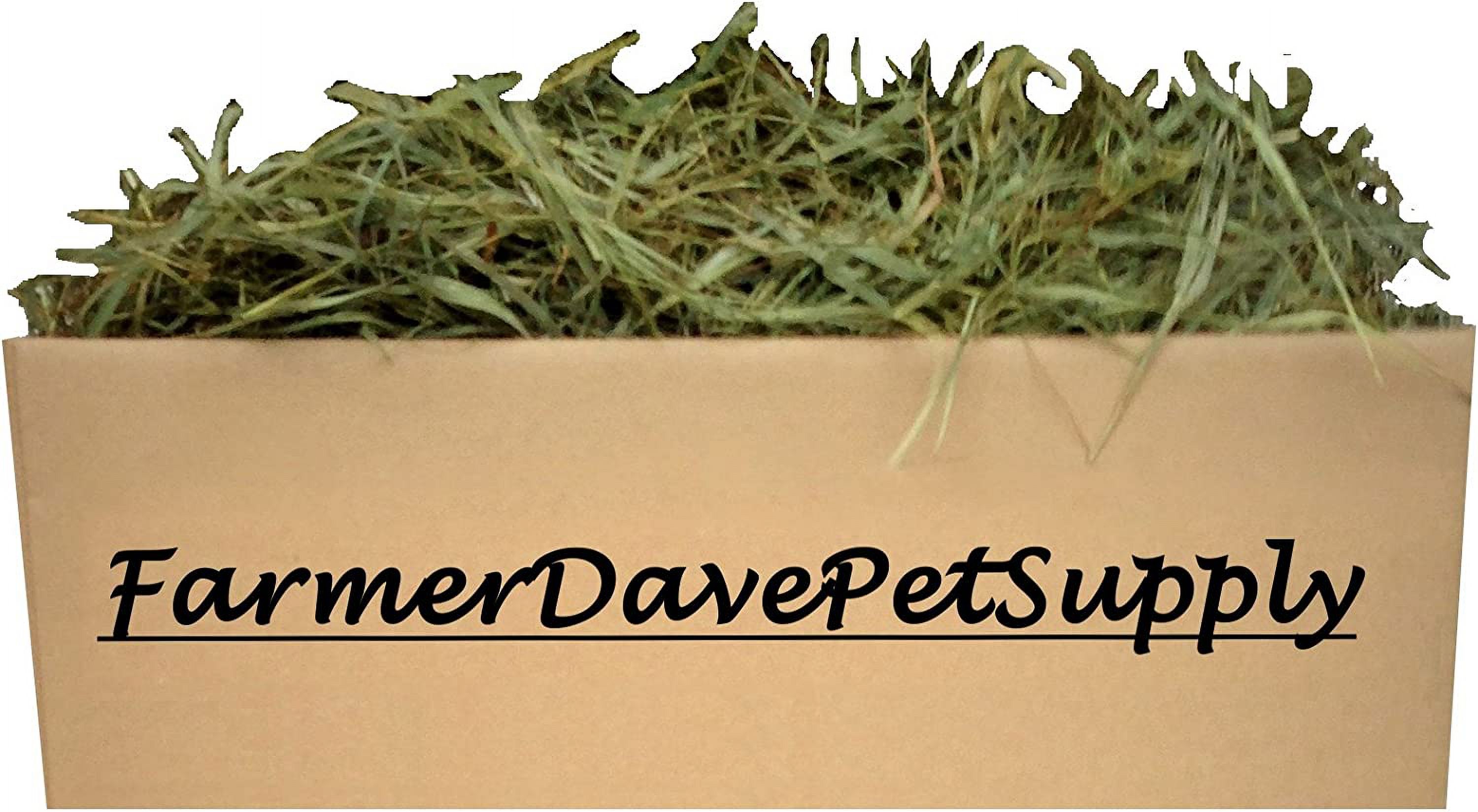 10 Lb Second Cut Timothy Hay - Premium Hay For Rabbits, Guinea Pigs, Chinchillas & Small Pets