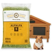 5 Lbs Fresh Alfalfa Hay by Bunny Honey - USDA Organic Natural Hay for Guinea Pigs, Rabbits, Hamsters, Hedgehogs, and More Small Select Animal Pets - 2nd Cut Fresh from Farm (5LB)