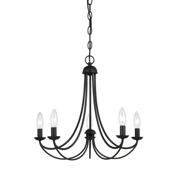 5 Light Steel Chandelier- 18 Inches High     -Traditional Installation Quoizel Lighting Mrn5005ib