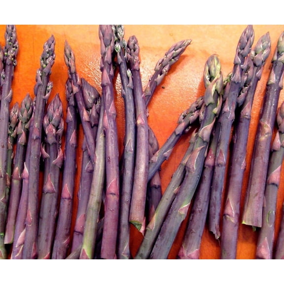 5 Mary Washington" asparagus crown, 2 Year Roots
