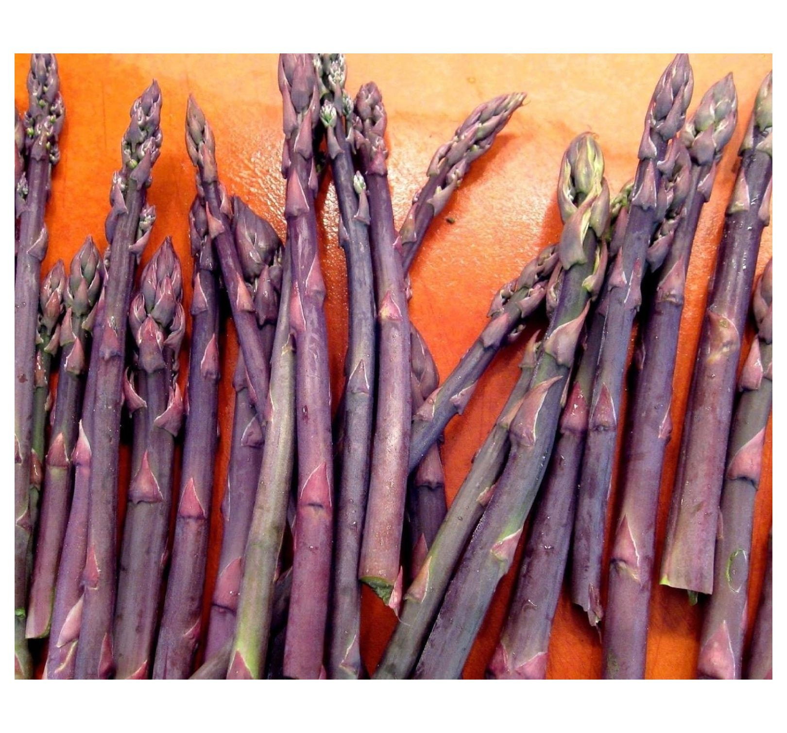 5 Mary Washington" asparagus crown, 2 Year Roots